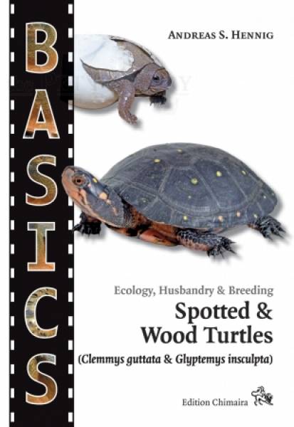 Spotted & Wood Turtles